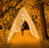 Perdea Luminoasa Profesionala 2M x 10M, 2000 leduri, Interconectabila