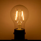 Ghirlanda luminoasa 10 m. cu 10 becuri A60 LED E27 interconectabila Ghirlanda luminoasa Lumini Terasa