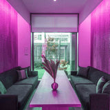 Furtun Luminos Led Neon Flex Lumina Mov Lumini Terasa Ghirlanda Luminoasa