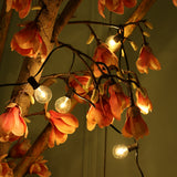 Ghirlanda luminoasa 10 m. cu 25 becuri LED Ghirlanda luminoasa Lumini Terasa