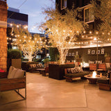 Ghirlanda luminoasa 10 m. cu 25 becuri LED Ghirlanda luminoasa Lumini Terasa