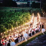 Cablu Ghirlanda luminoasa 10 m. cu 20 fasunguri E27 interconectabila