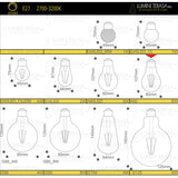 Bec A60 LED transparent din sticla E27 6W