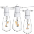 Ghirlanda luminoasa 10 m. cu 20 becuri mari ST64 4W LED E27 interconectabila