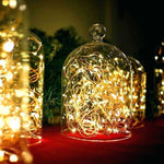Ghirlanda Luminoasa Decorativa din Cupru 10m. cu 100 LEDuri cu telecomanda Ghirlanda luminoasa Lumini Terasa