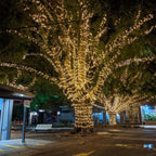 Ghirlanda Luminoasa Decorativa Cablu Transparent 50 m. cu 400 LEDuri