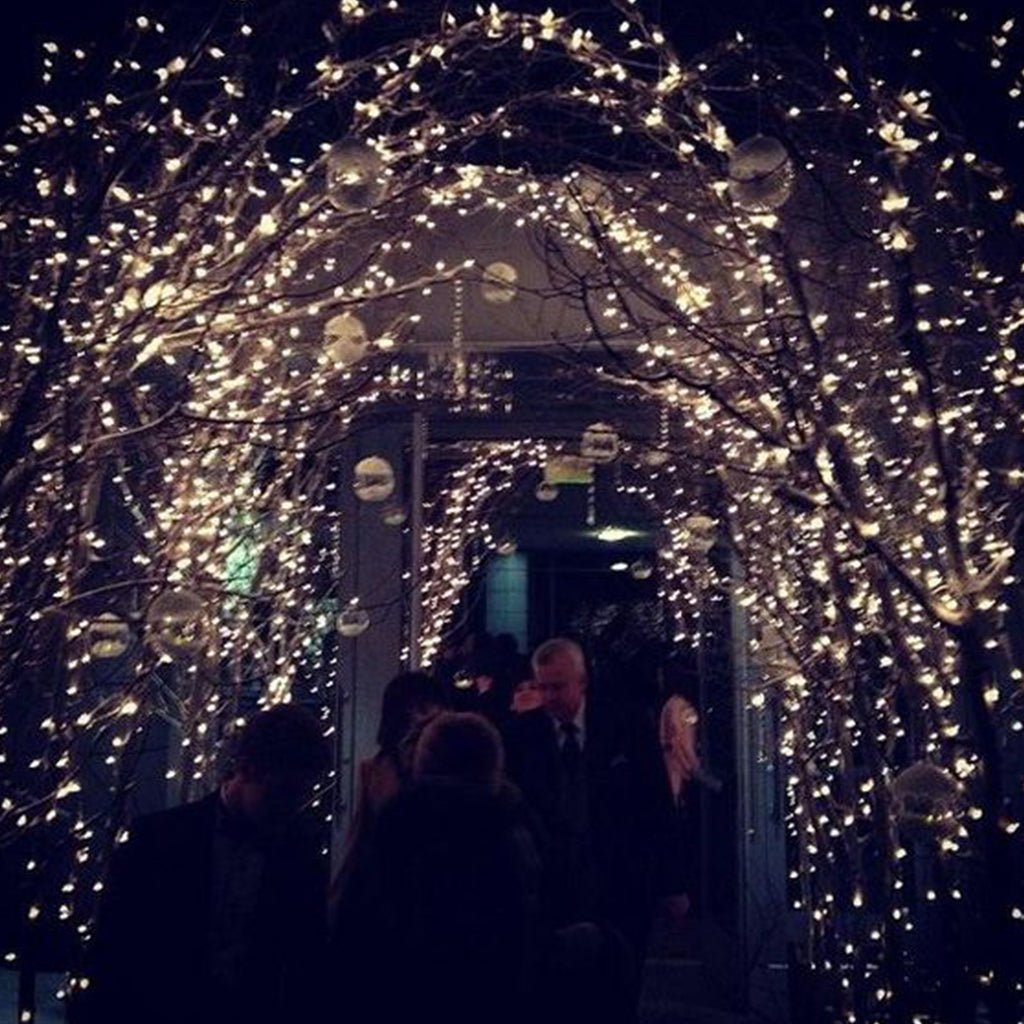 Ghirlanda Luminoasa Decorativa din Cupru 50 m. cu 500 LEDuri Ghirlanda luminoasa Lumini Terasa